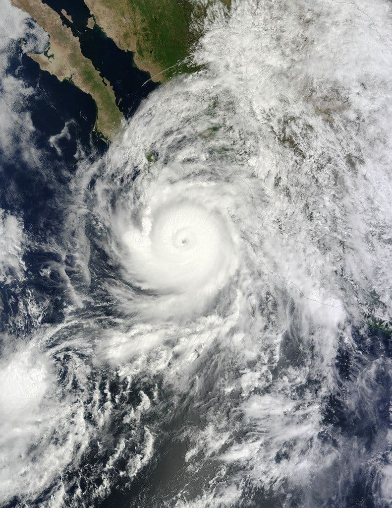 Alerta climática: el fenómeno de "El Niño doble" amenaza con partir al país en dos escenarios opuestos