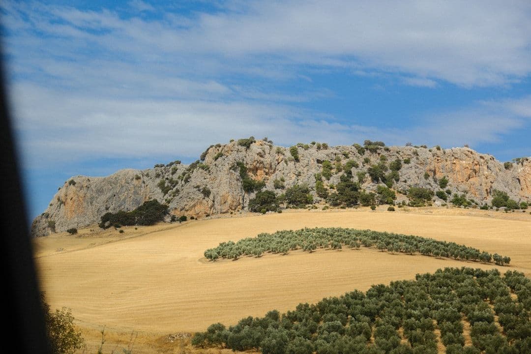Aragón premia a los cazadores por su rol en la conservación ambiental, entre cuestionamientos de grupos ecologistas