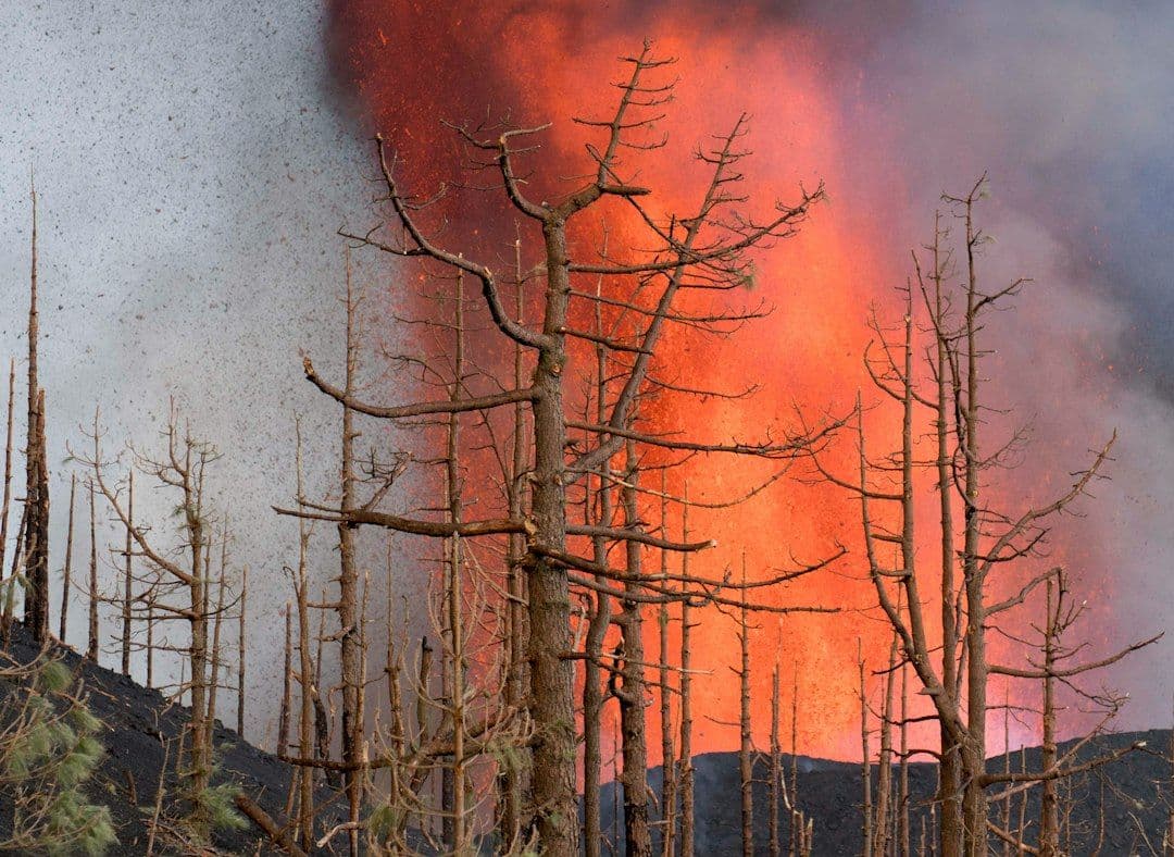 Bajo control el incendio forestal que arrasó más de 300 hectáreas en Benahavís, Málaga