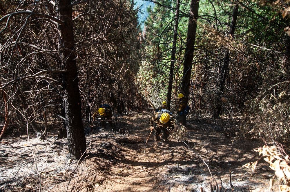 Bomberos logran controlar el frente principal del incendio forestal en Aranda de Duero, España