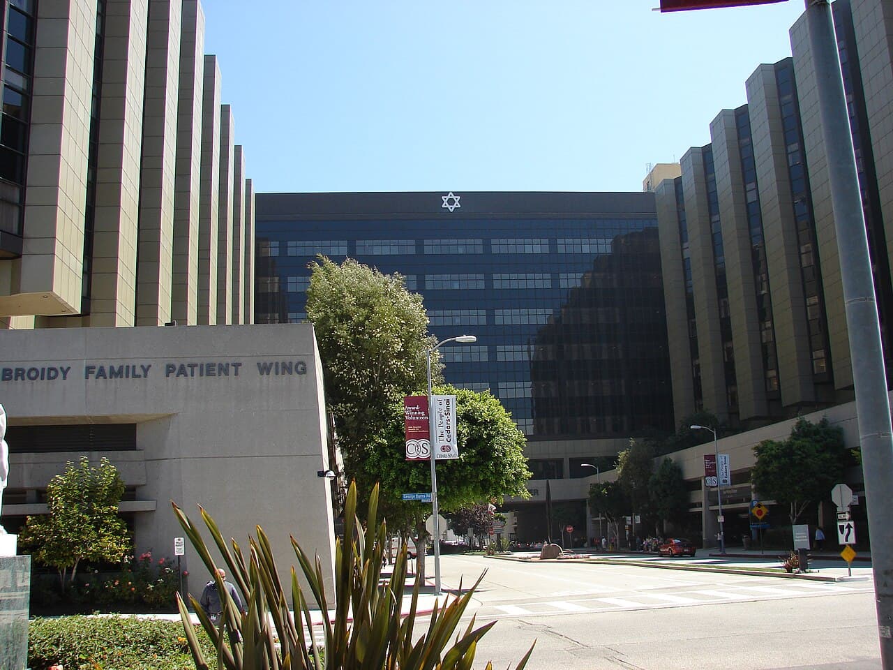 Cedars-Sinai distinguirá a "The Pitt" por su retrato realista de las salas de urgencias