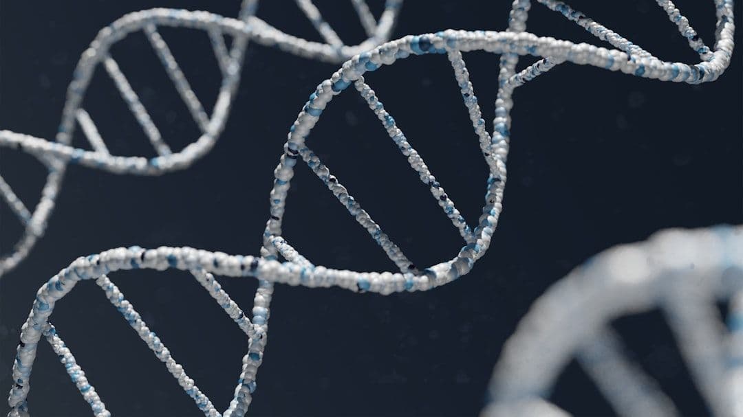 Científicos mapean los circuitos genéticos que definen salud y enfermedad