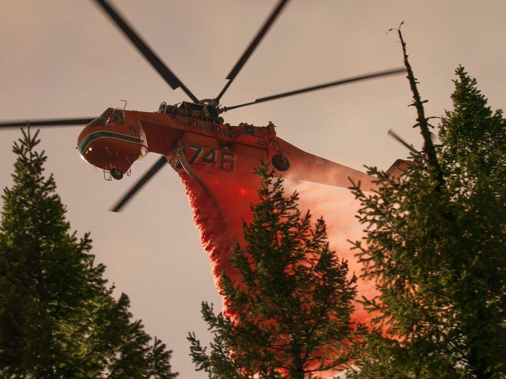 Dan por controlado el incendio forestal que afectó Puerto del Moral