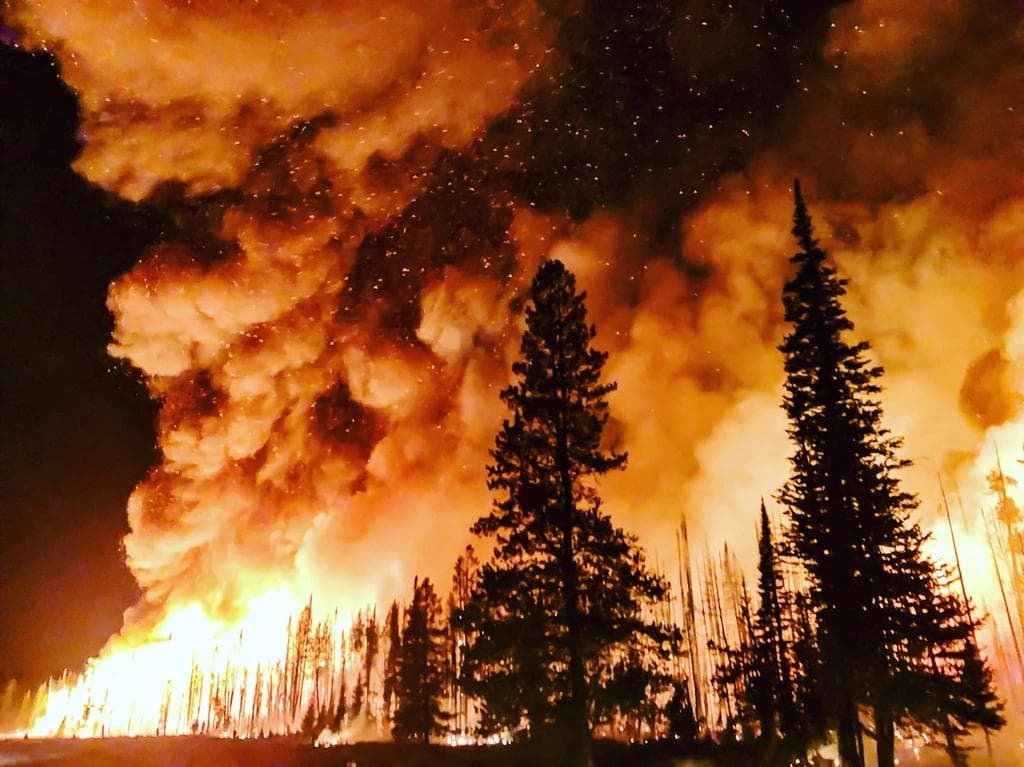 Dan por controlado el incendio forestal que afectó Vélez de Benaudalla, en Granada