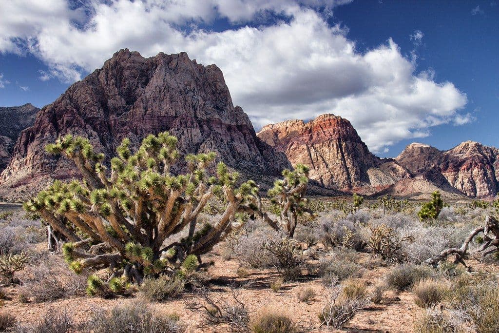 Diez paisajes terrestres que desafían la imaginación y parecen de otro planeta