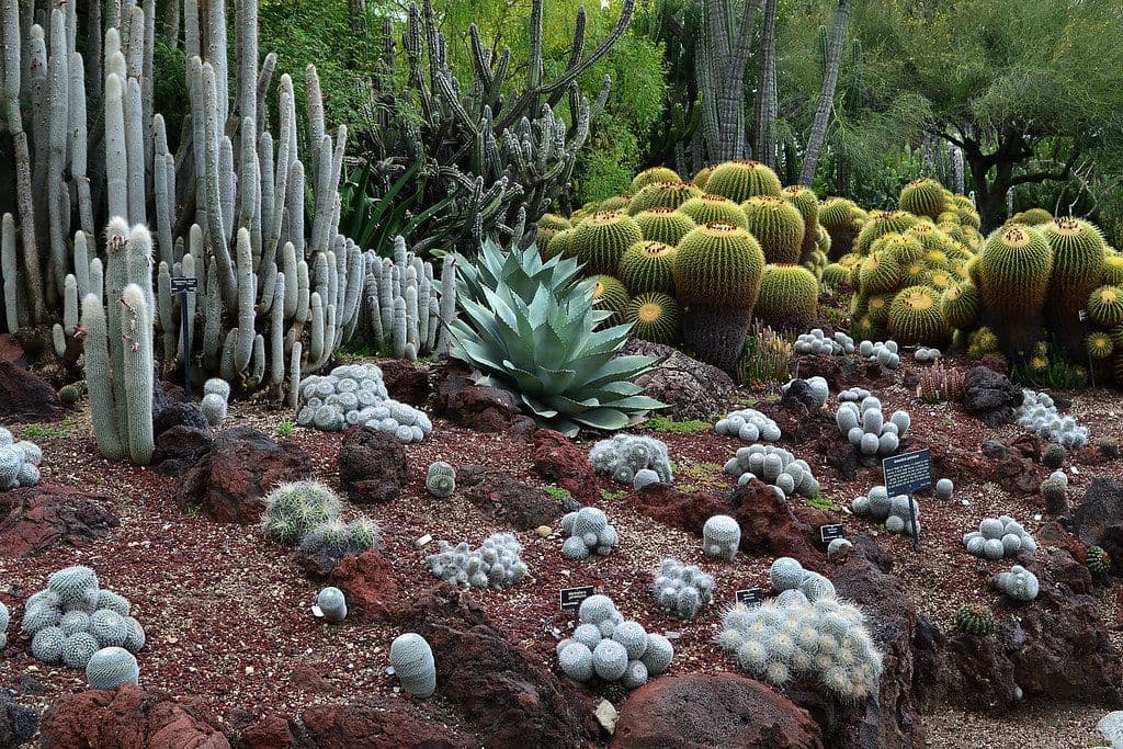 Diez paisajes terrestres que desafían la imaginación y parecen de otro planeta