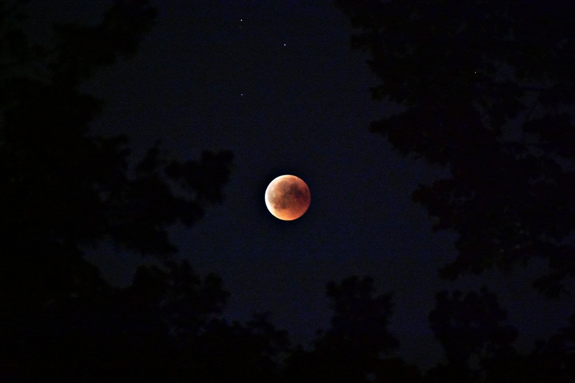 El cielo se vistió de espectáculo: así se vio el eclipse lunar parcial que coincidió con la Luna llena de agosto