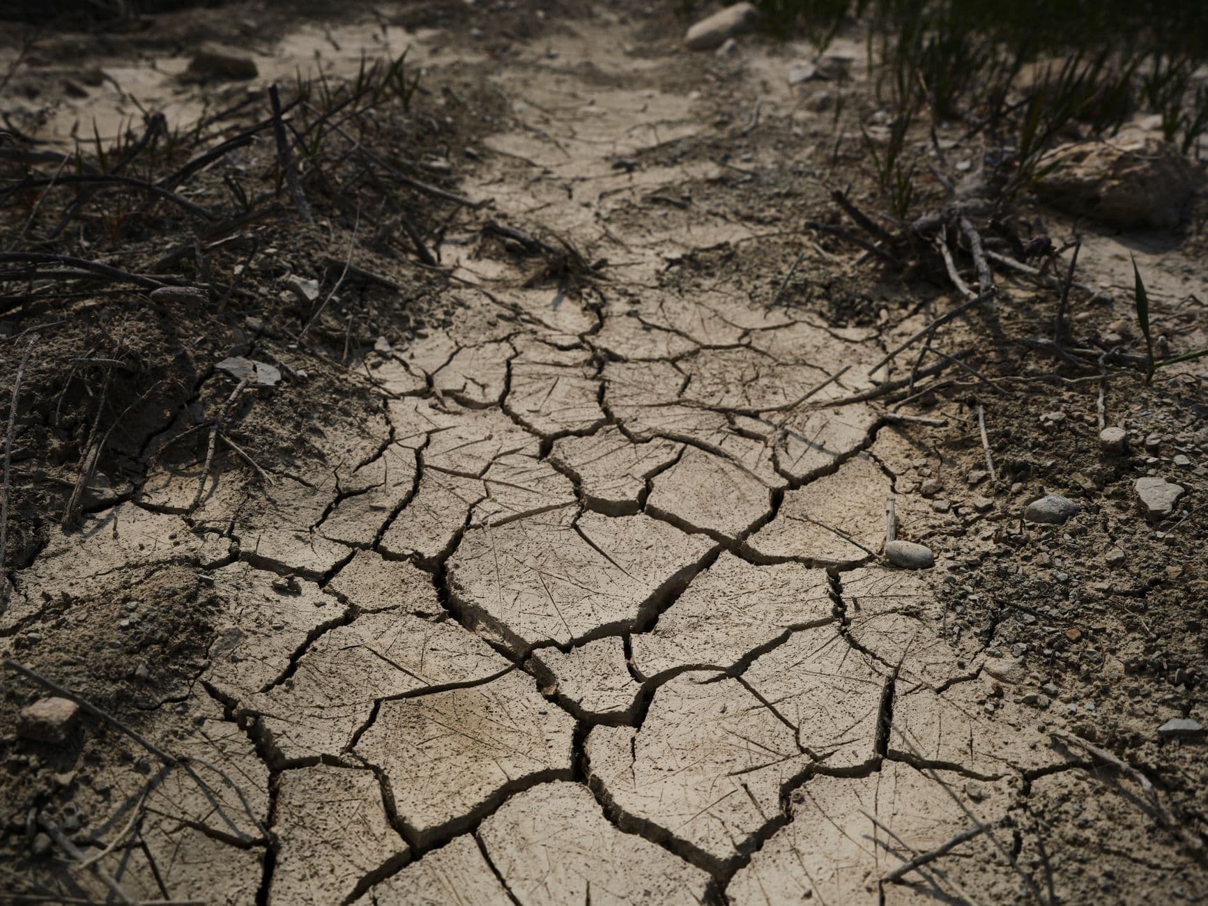 Honduras activa alerta roja en más de cien municipios por la sequía del fenómeno El Niño