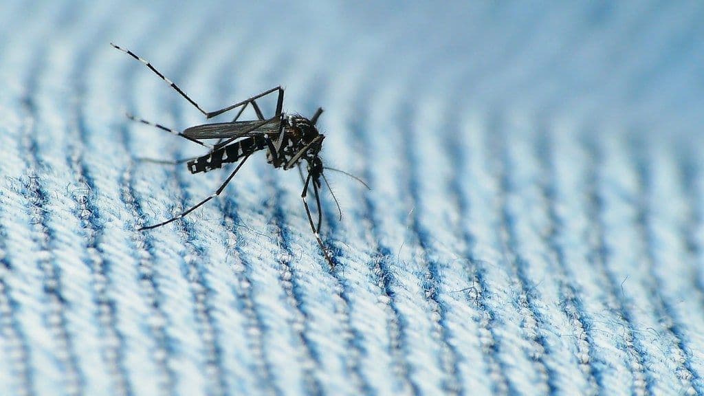 Honduras enfrenta un repunte del dengue: 8 mil casos y cuatro muertes en lo que va de 2026
