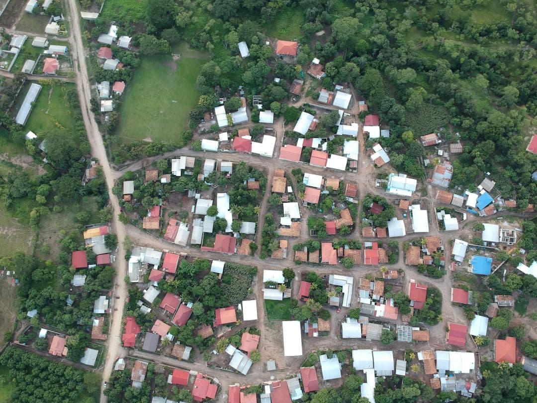 Honduras registra el primer caso de chikungunya del año y refuerza la vigilancia epidemiológica