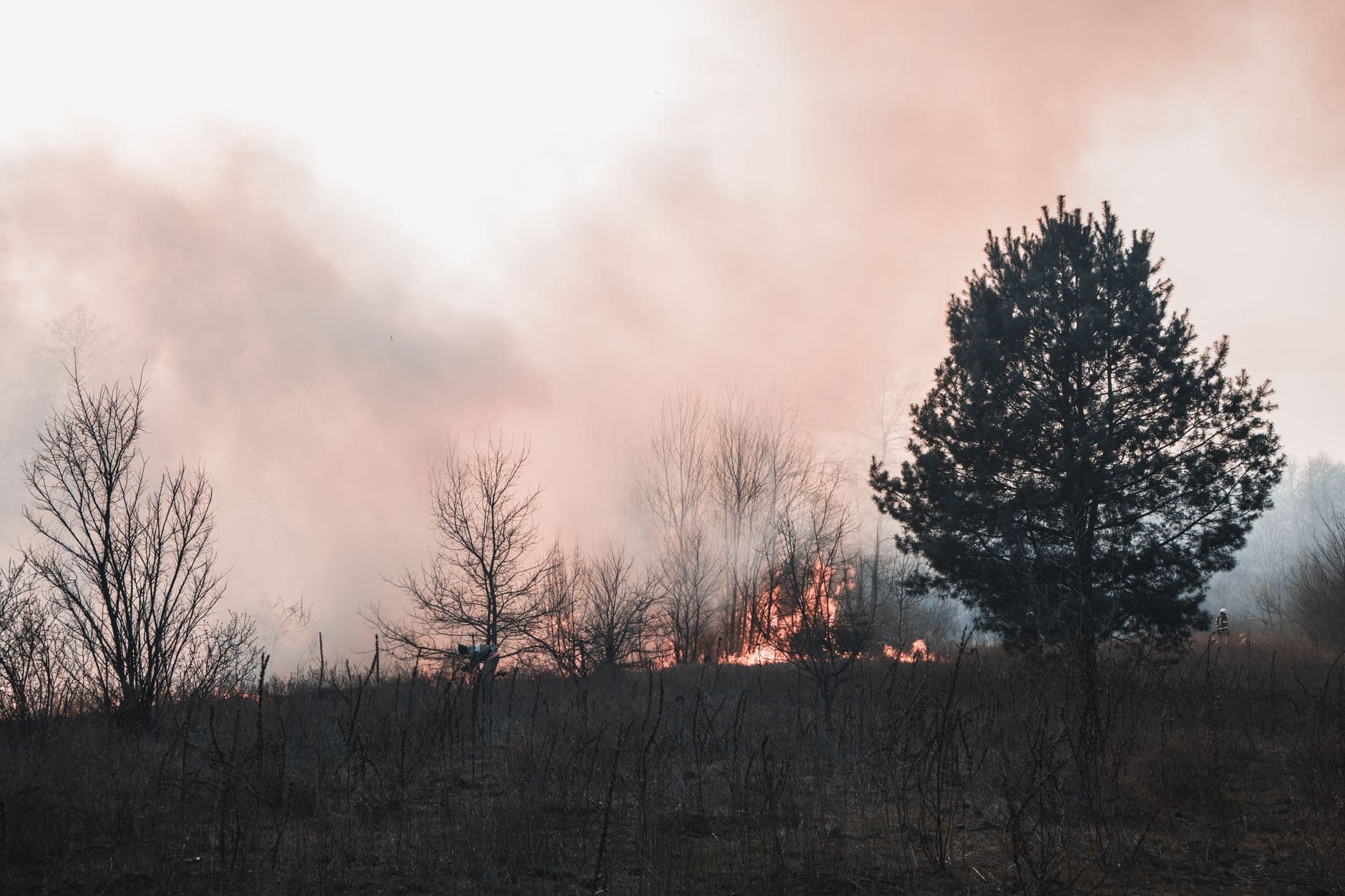 Incendio forestal avanza en Yumbo y pone en alerta a comunidades cercanas a Cerro El Gordo