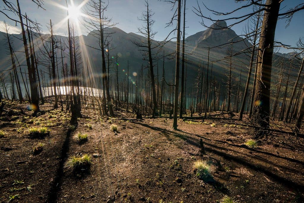 Incendio forestal en el cerro La Botica obliga a cerrar temporalmente el circuito turístico en La Libertad