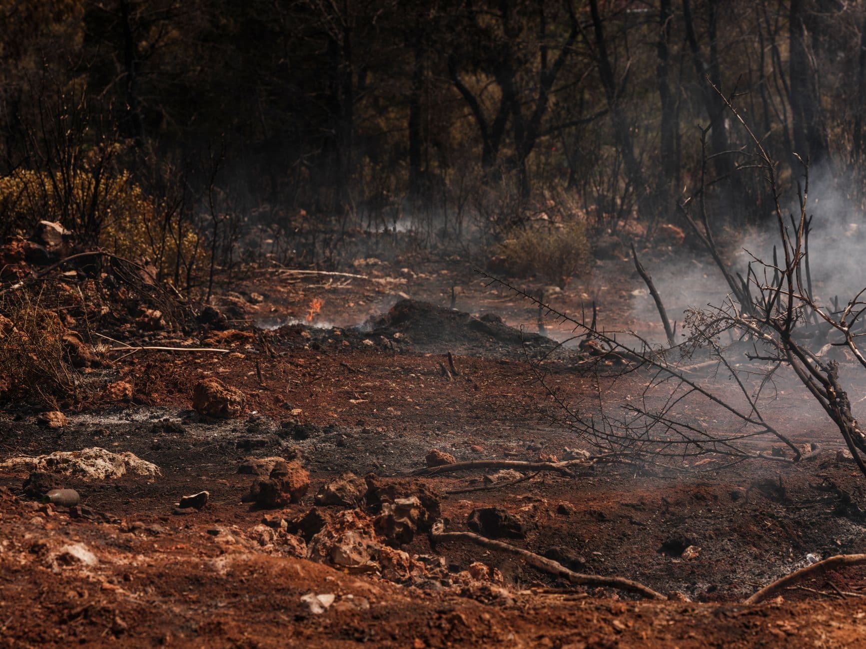 Incendio forestal en el cerro La Botica obliga a cerrar temporalmente el circuito turístico en La Libertad