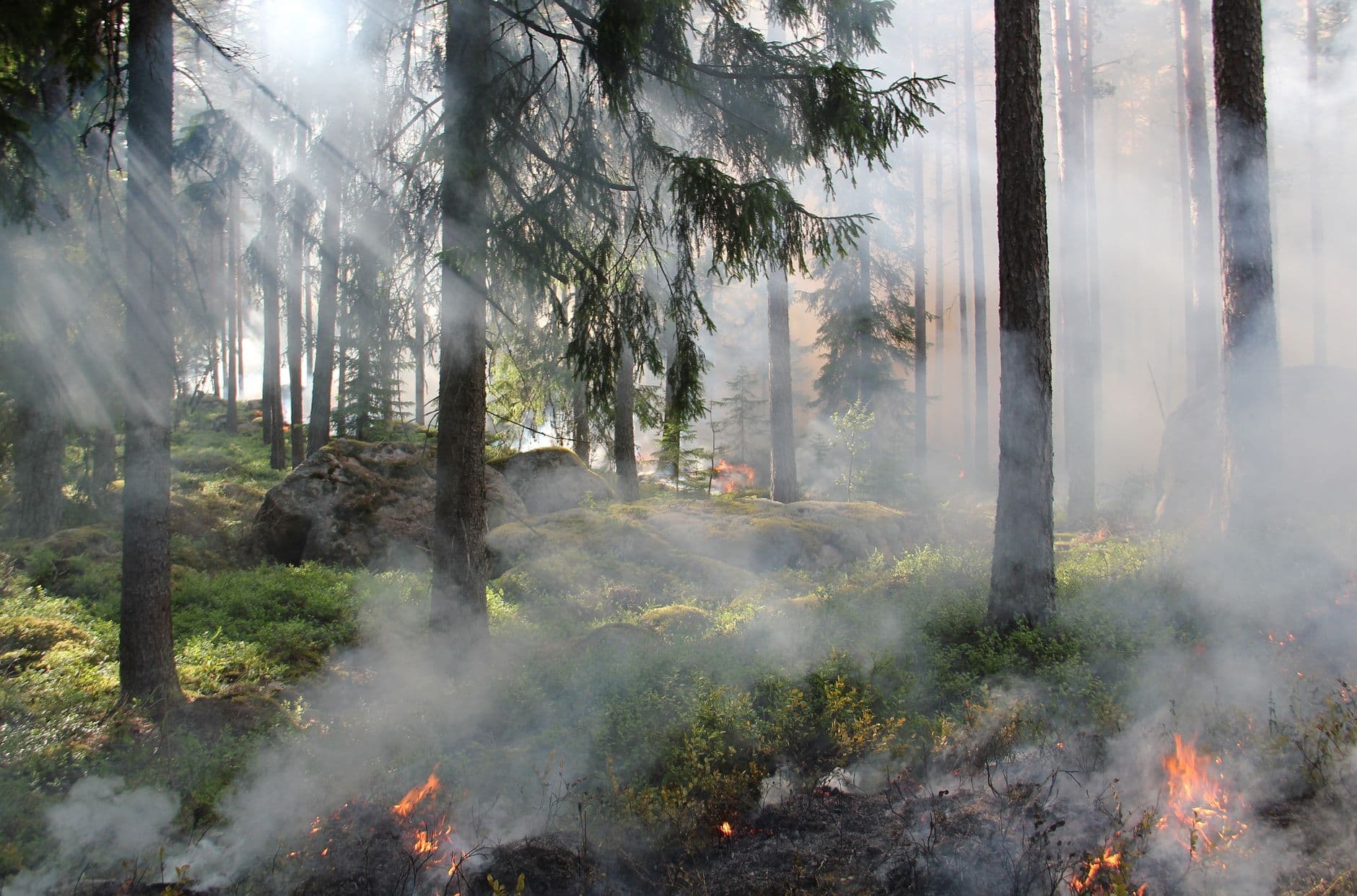 Incendio forestal en Norte de Santander se acerca a zonas pobladas y ya arrasó más de 3.000 hectáreas