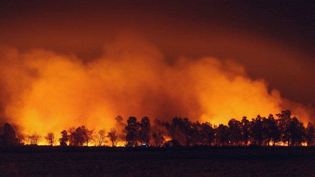 Incendio forestal en Norte de Santander se acerca a zonas pobladas y ya arrasó más de 3.000 hectáreas