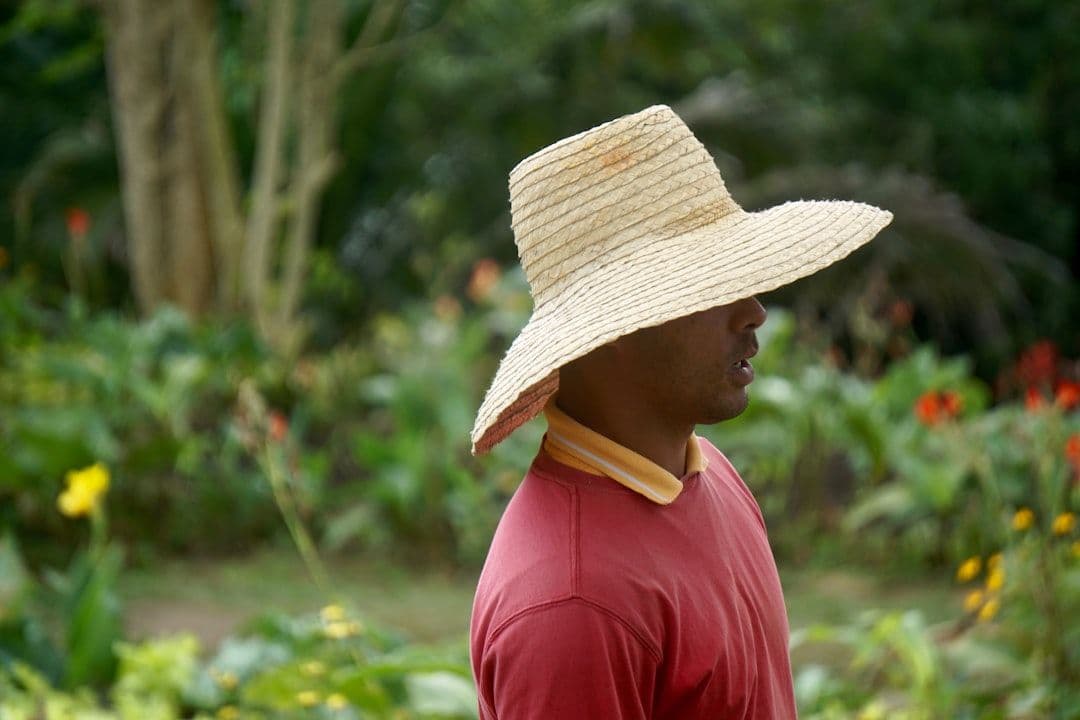 La crisis agrícola que obliga a Cuba a importar el 80% de sus alimentos