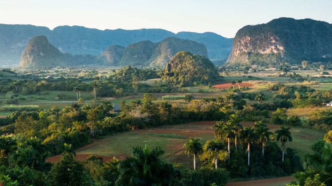 La crisis agrícola que obliga a Cuba a importar el 80% de sus alimentos