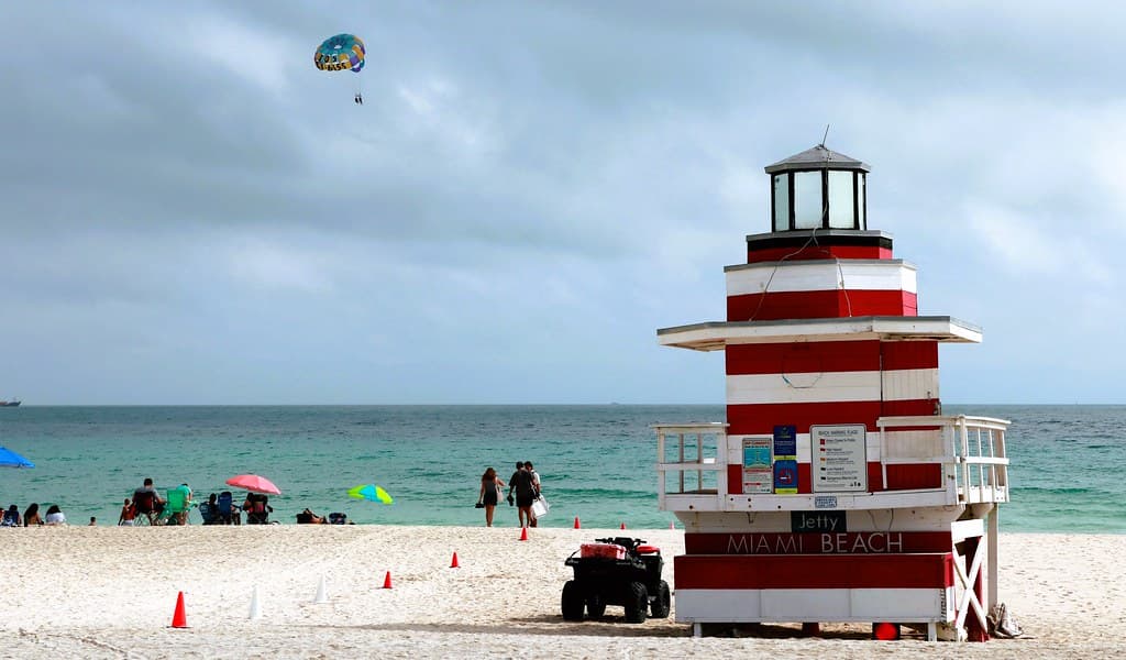 Miami en familia: la guía definitiva de actividades para disfrutar con los chicos todo el año