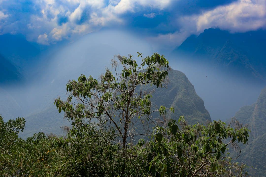 Perú declara alerta roja en nueve regiones por riesgo extremo de incendios forestales