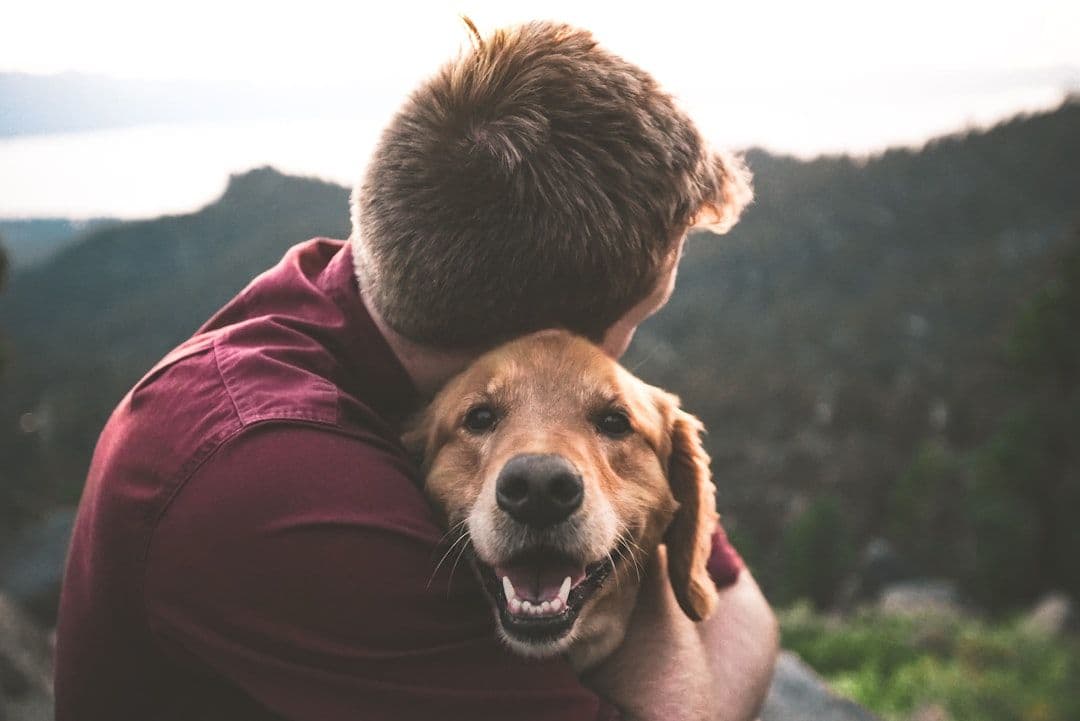 Qué dice la ciencia sobre los beneficios de tener un perro en casa