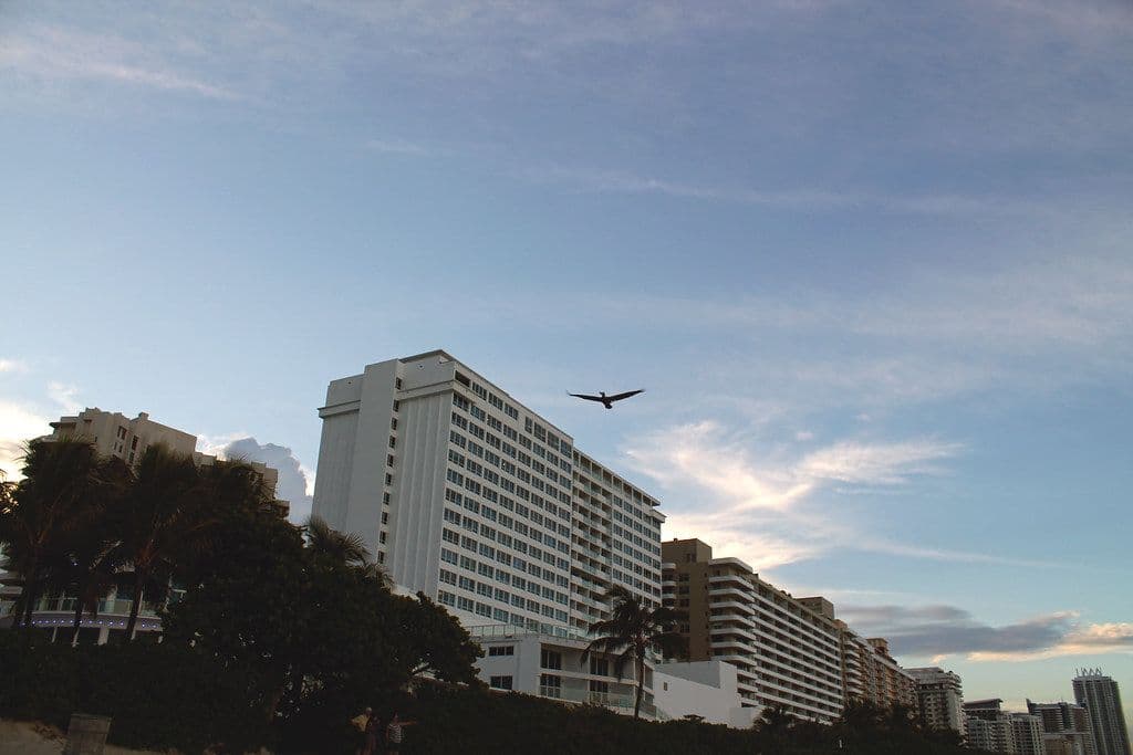 South Beach suma un nuevo club de playa con estética mediterránea
