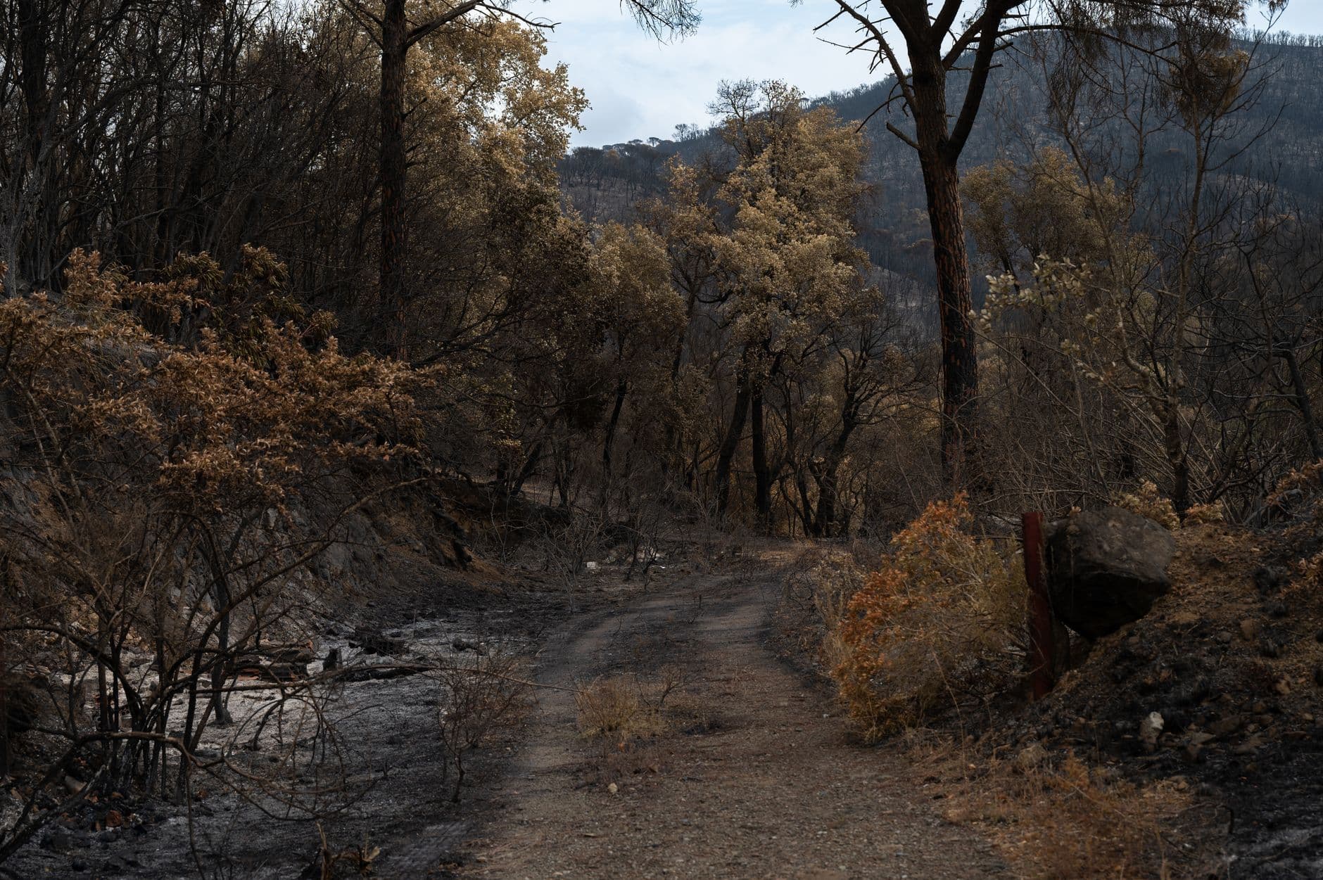 Un incendio forestal en Cantabria estuvo cerca de alcanzar una zona poblada