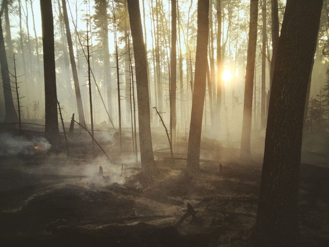 Un incendio forestal obliga a movilizar equipos de emergencia en la provincia de Huelva