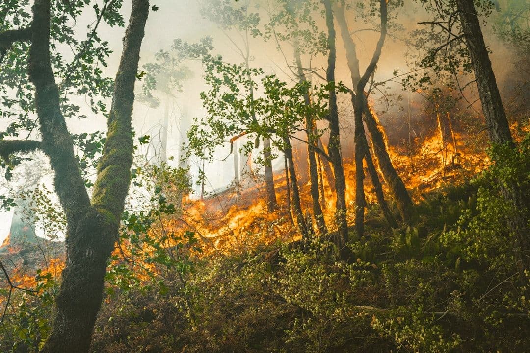Un incendio forestal obliga a movilizar equipos de emergencia en Moguer, Huelva