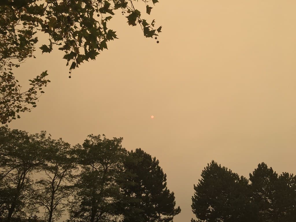 Una nube de polvo del Sahara cubre el cielo de Miami: qué efectos tiene para los residentes